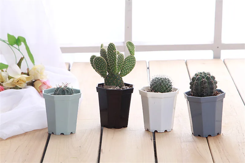 Восьмиугольный пластиковый цветочный горшок кактус сочный для растений