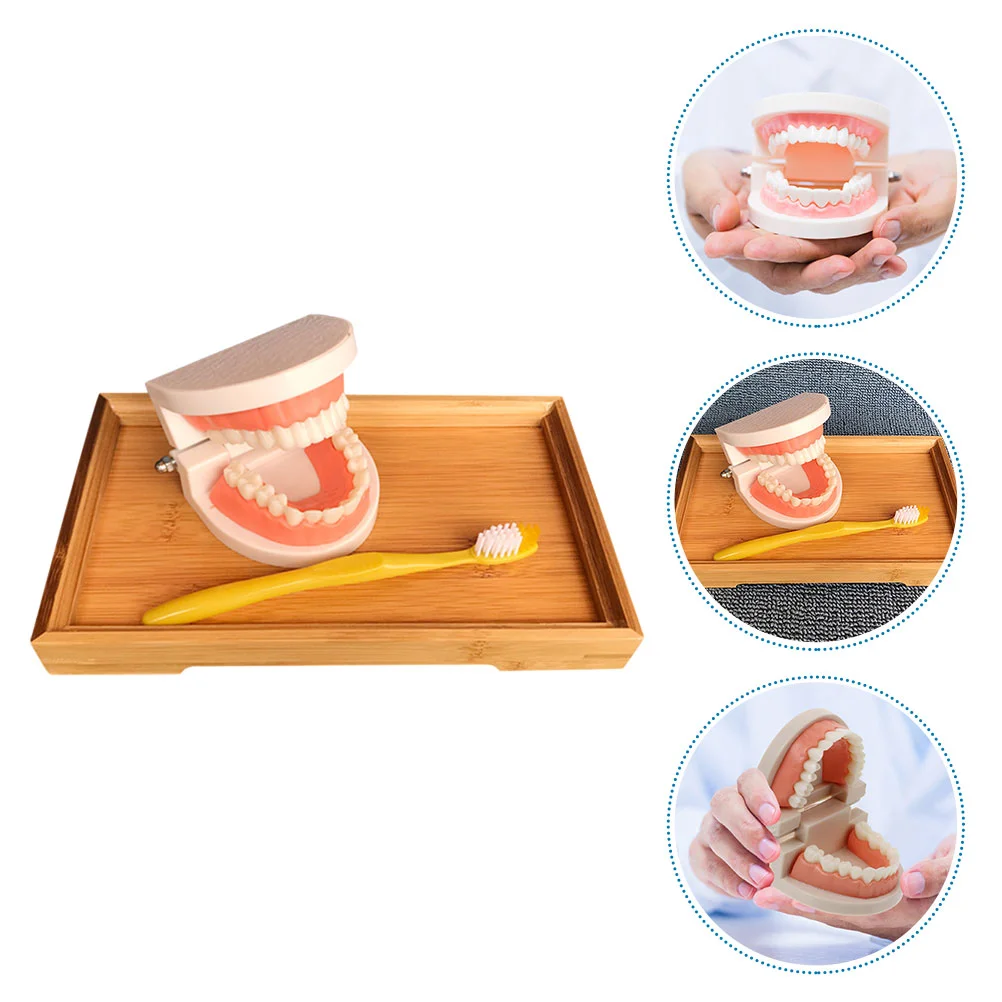 

1 Набор, обучающие игрушки для чистки зубов