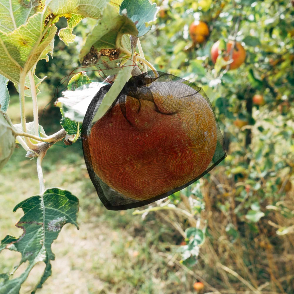 

50Pcs Nylon Orchard Fruit Mesh Bags Fruit Mesh Bags Drawstring Fruit Bags