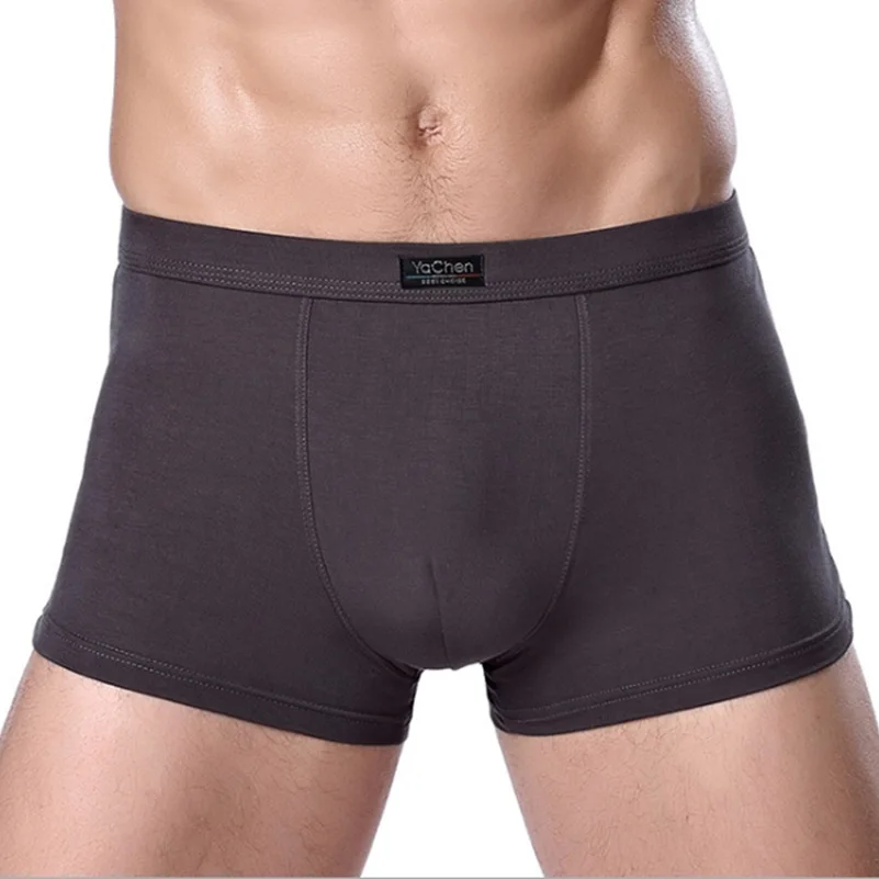 

Bamboo Male Panties Sexy Underwear Men Cuecas Boxer New Fashion Boxer Shorts Mens Underware 1pcs/lot Free Shipping