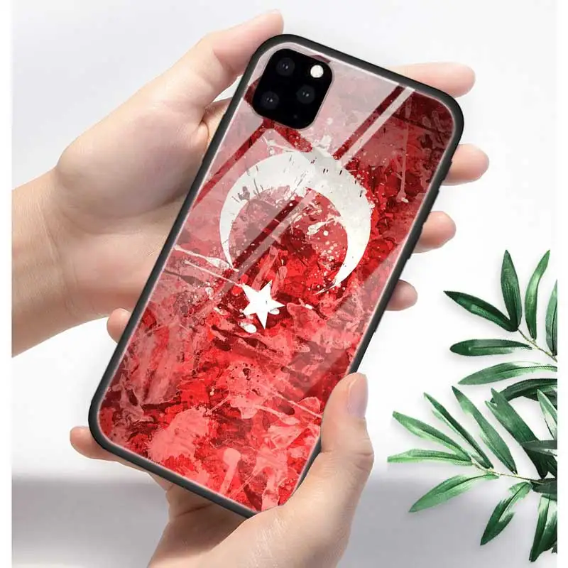 T05 Турция турецкий чехол с флагом для Apple iphone 11 Pro XR XS Max X 7 8 6 6S Plus закаленное стекло+ черный силиконовый чехол для телефона Coque Sac - Цвет: T05