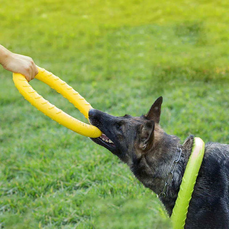

Pet Flying Discs EVA Dog Training Ring Puller Resistant Bite Floating Toy Puppy Outdoor Interactive Game Playing Products Supply