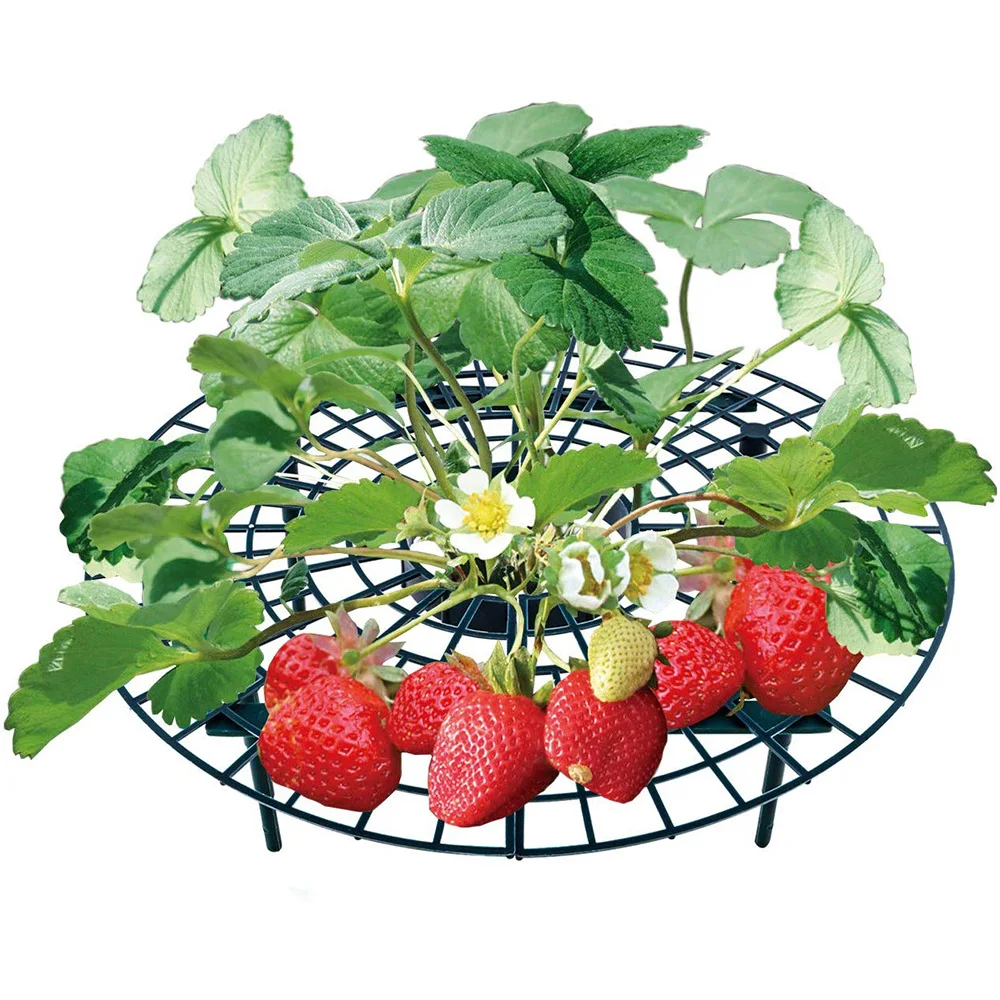 

Hot Sale Strawberry Stand Frame Holder Balcony Planting Rack Fruit Support Plant Flower Climbing Vine Pillar Gardening Stand