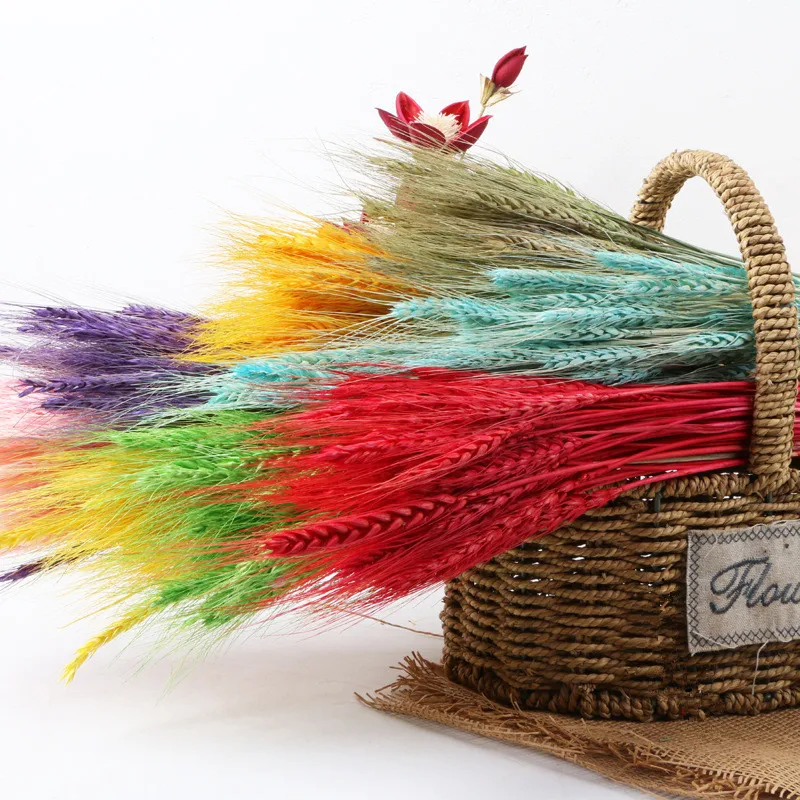 50 шт./лот натуральный цветок пшеничных ушей Натуральные сушеные цветы для