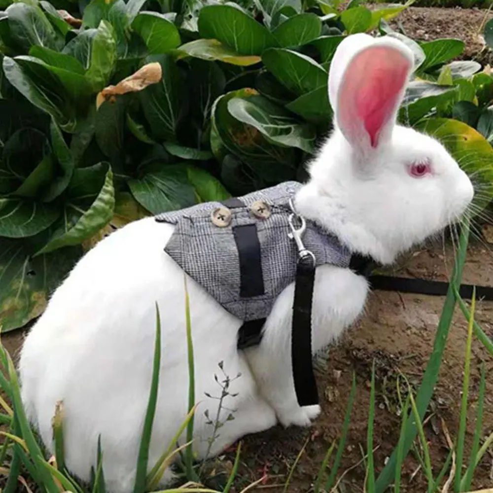 Ремни для кроликов и хомяка сетчатые шлейки с Leas Bunny хорька морской свинки мелких