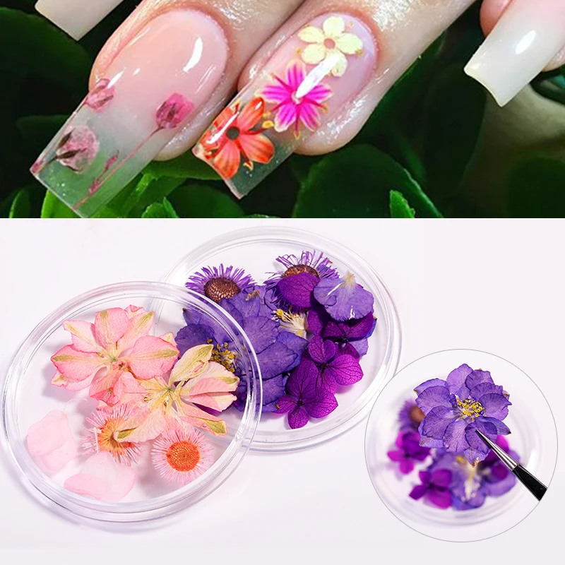 1 коробка сушеные цветы розовый фиолетовый разноцветный смешанные цвета