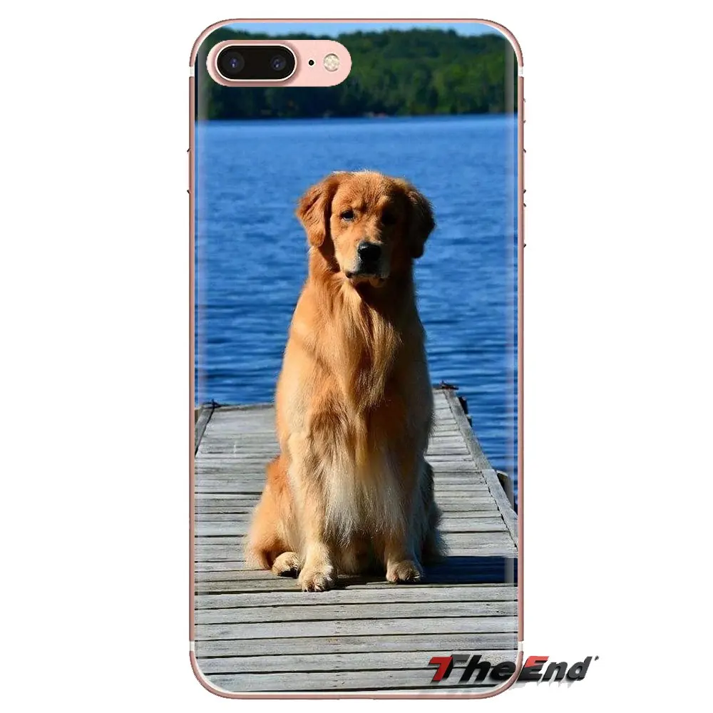 Подходит для породы золотистый ретривер со вставкой-дог мягкий прозрачный