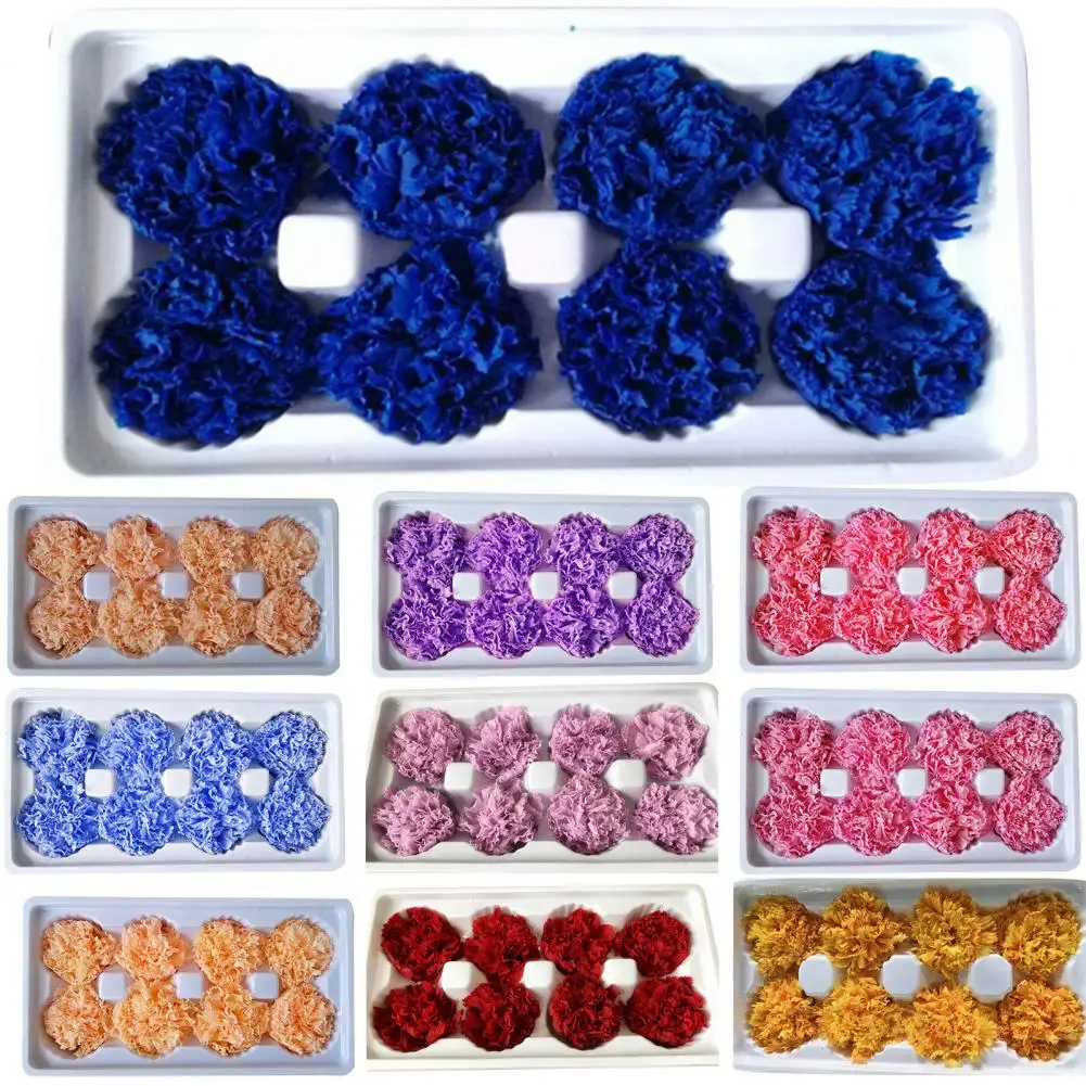 

8Pcs Preserved Flowers Head Immortal Rose 4-5cm Diameter Mothers Day DIY Wedding Eternal Life Flower Material Gift Dropshipping