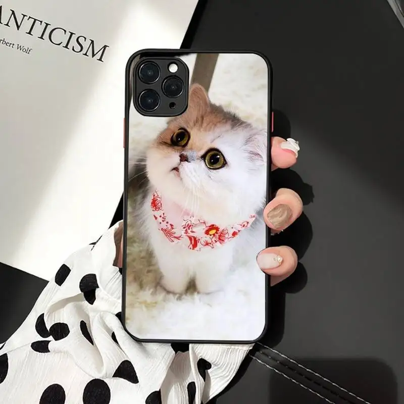 

Cat Cartoon lovely pets Animal Phone Case matte transparent For iphone 7 8 11 12 plus mini x xs xr pro max cover