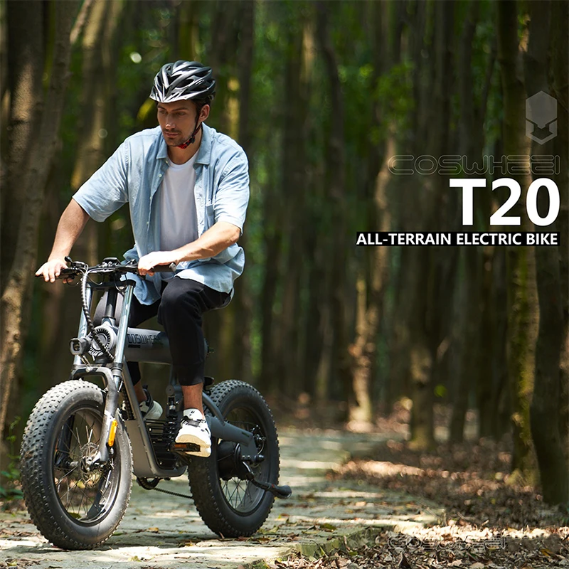 Kaufen 20 Zoll Fett Reifen Elektrische Fahrrad Hohe Geschwindigkeit Kreuz-land Elektrische Fahrrad Lithium-batterie Mountainbike Strand Motorrad