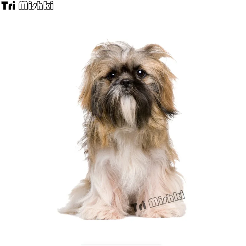 Наклейка на автомобиль ноутбук холодильник дверь окно