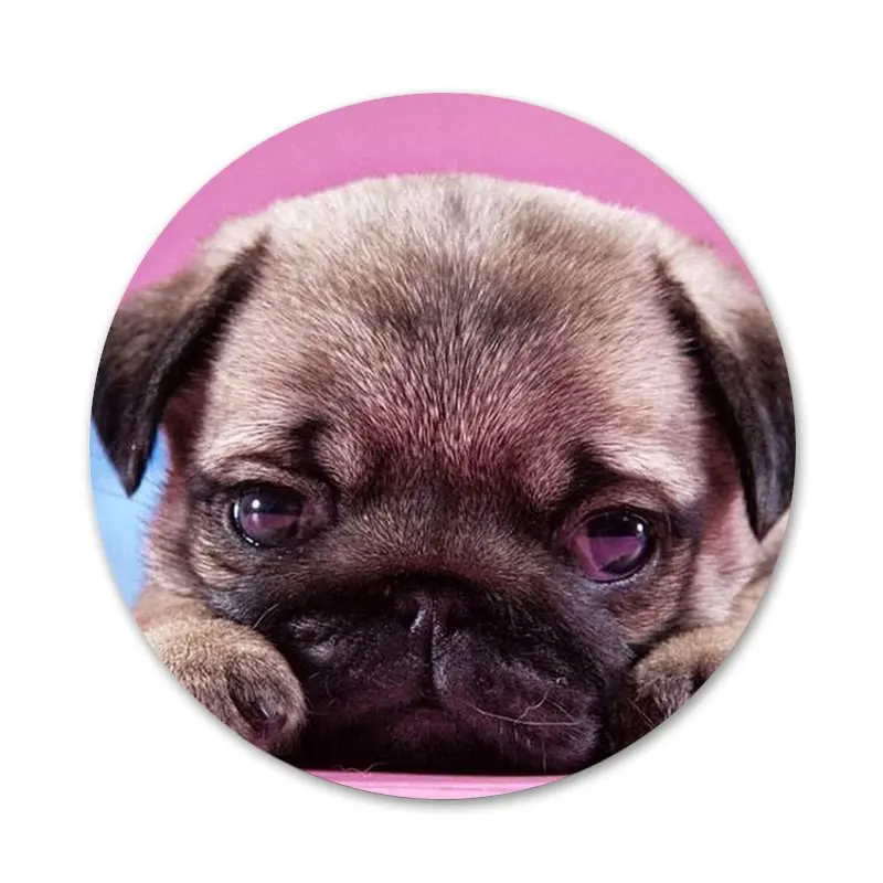 

Puppies Cubs Dogs Poodle Pug Doggy Icons Pins Badge Decoration Brooches Metal Badges For Backpack Decoration 58mm