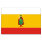 Рязанский областной флаг Государственный флаг России 150X90CM 100D полиэстер 3x5FT латунные втулки пользовательский флаг