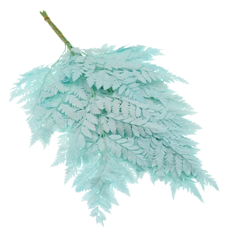 

natrual dried fern leaf DIY material home decore fall decorations flowers wall hanging decor sunflower party decorations