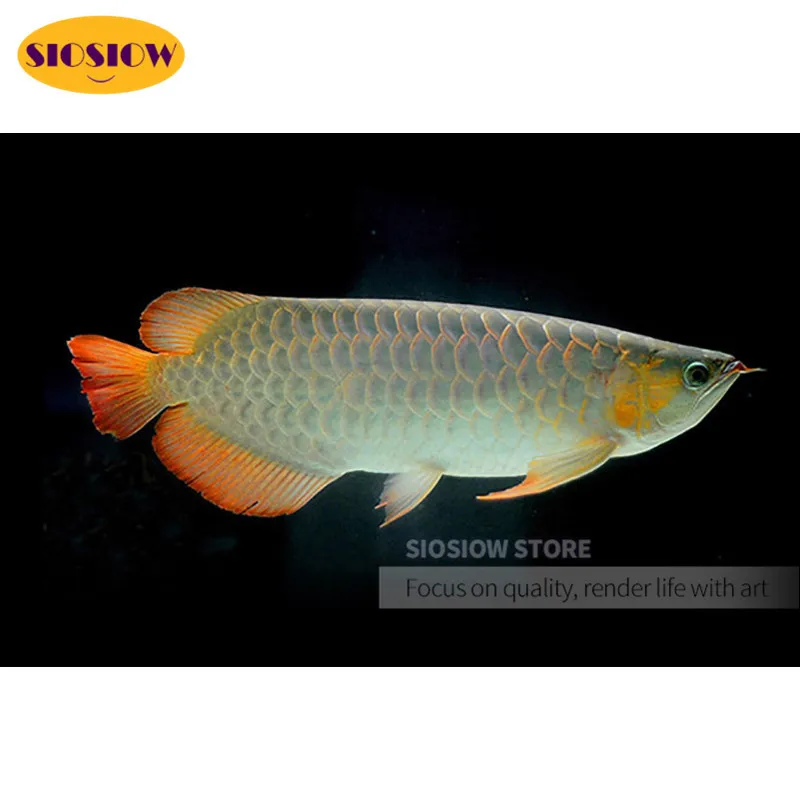 5D алмазная живопись сделай сам стразы кристалл аравана рыба животное полный