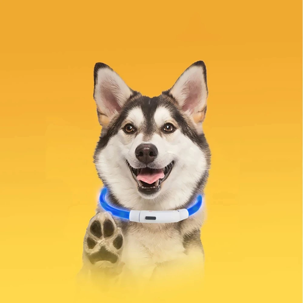 LED USB Dog Collar Rechargeable Flashing Night Collars Safety Glowing Luminous Pet Supplies | Дом и сад