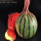 Многоразовые сетчатые полиэтиленовые пакеты для фруктов, длина 45 см, 20 шт.