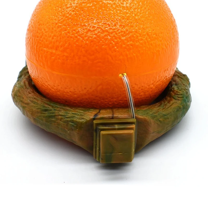 

Funny Fruit Shape Bird Parrot Feeder Food Water Feeding Bowl Container