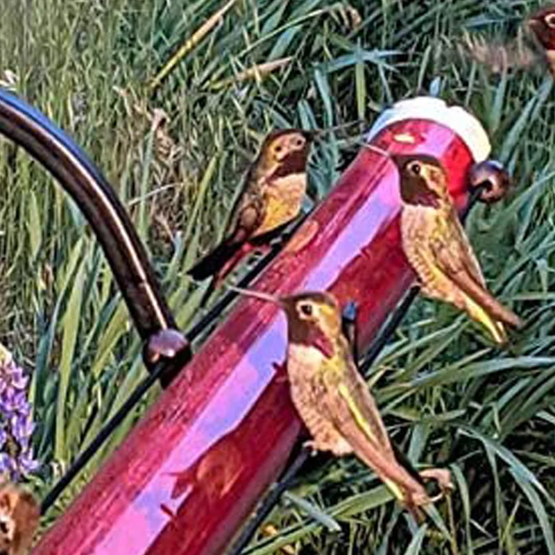 

Bird Feeders Best Hanging Long Pipe Hummingbird Birds Feeder with Hole Red Transparent Tube Bird Supplies Pet Products