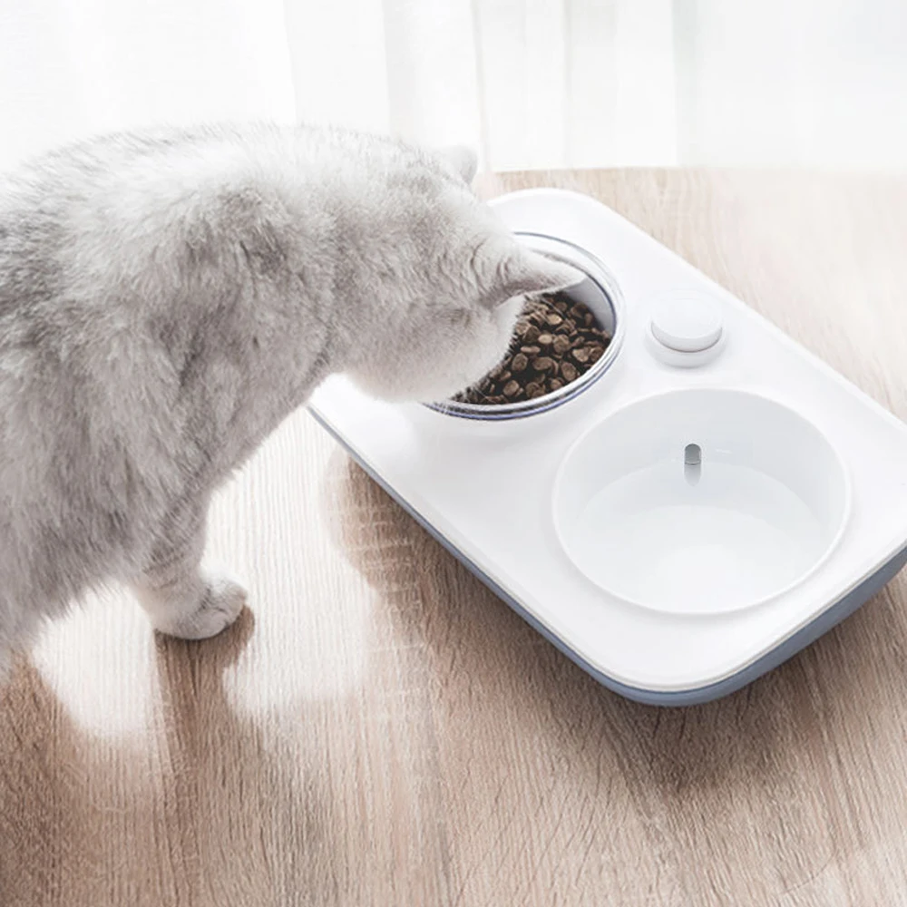 

Dog Bowl Dog Double Bowl Small and Medium-sized Dog Food Bowl Cat Bowl Cat Automatic Drinking Fountain Rice Bowl Pet Bowl