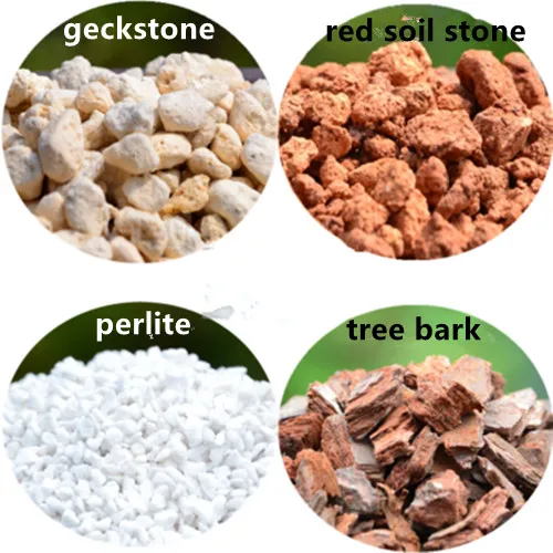 500 г/упак. медленно высвобождаемая Орхидея выращивает специальные смешанные