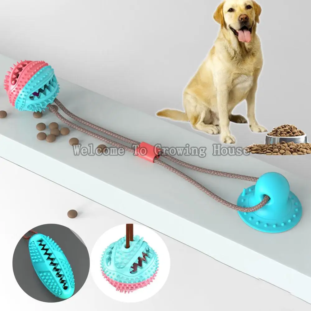 Бесплатная доставка игрушка для собак с присоской тянуть мяч