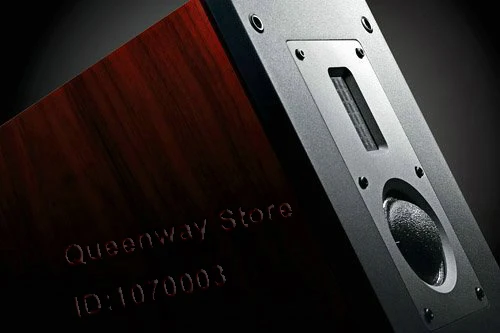 HIVI Swans RM1000HT 5 0 Домашний кинотеатр стерео звуковая система фронтальная RM1000 центр