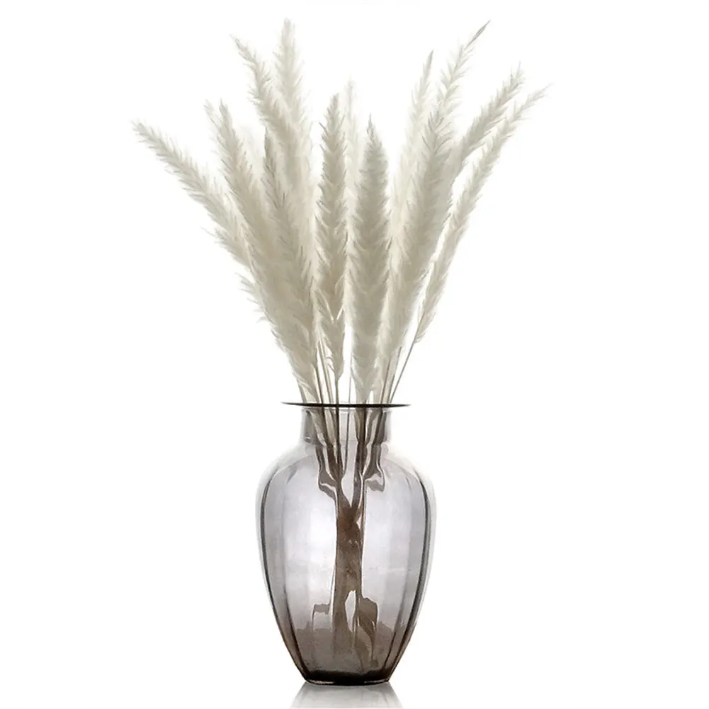 15 шт. сушеные маленькие Pampas Grass Phragmites украшение для домашнего магазина свадьба