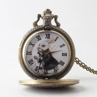 cute anime alive in wonderland clock necklace movie figure watch rabbit pendant long chain vintage bronze pendant jewelry gift