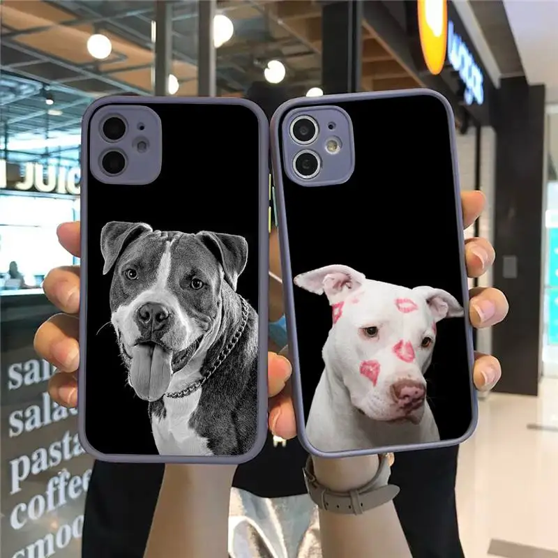 

Black White Pit Bull Lovely Pet Dog Phone Case Matte Transparent for iPhone 7 8 11 12 s mini pro X XS XR MAX Plus cover funda