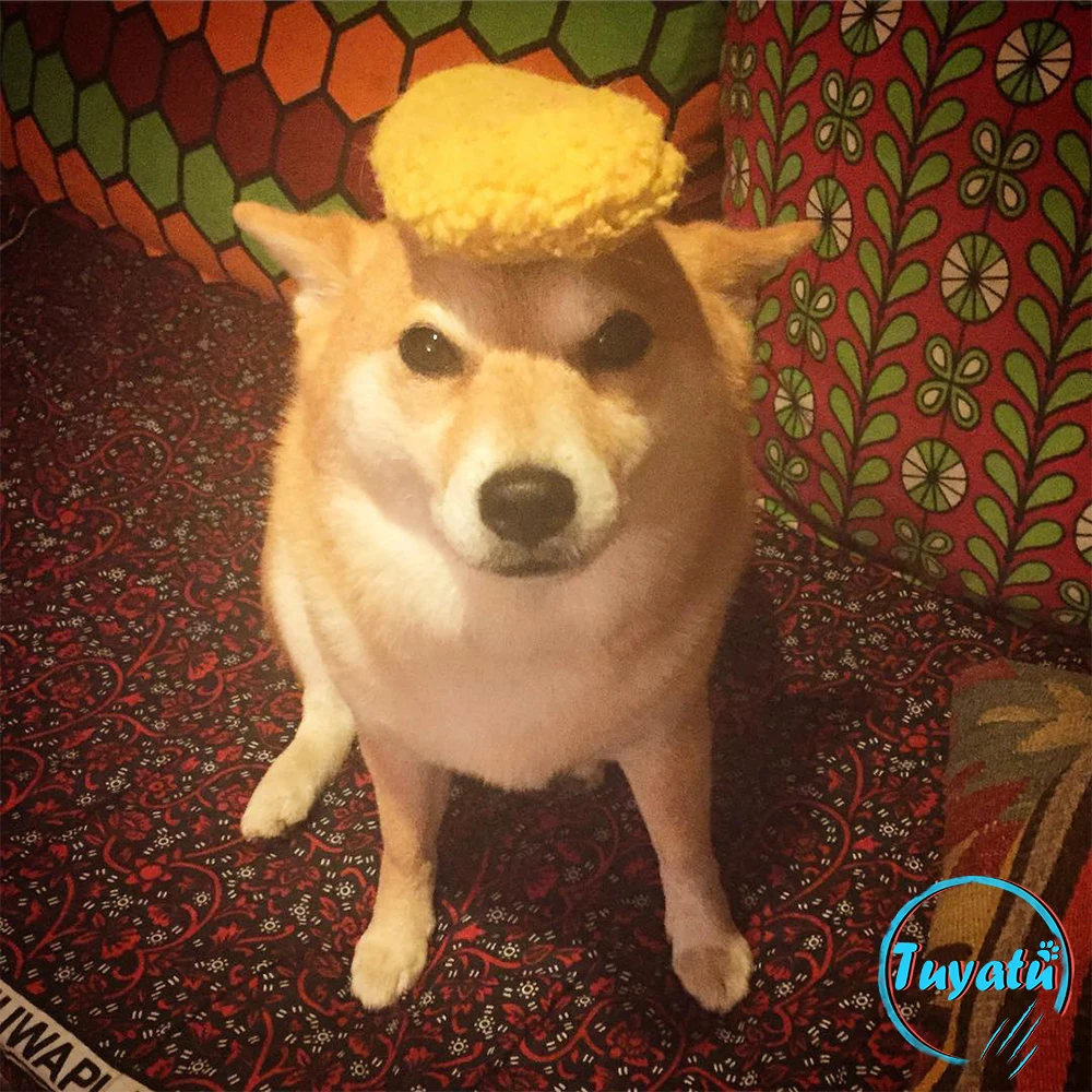 Tempura игрушки для больших и маленьких собак плюшевая интерактивная игрушка щенков