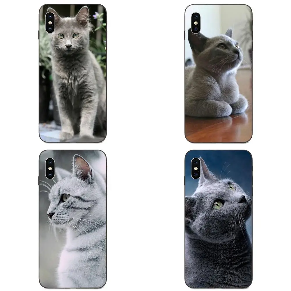 Чехол для телефона Xiaomi Redmi Note 3 3S 4 4A 4X 5 5A 6 6A 7 7A K20 Plus Pro S2 Y2 Y3 из мягкого TPU с серым котом, милым животным на нем.