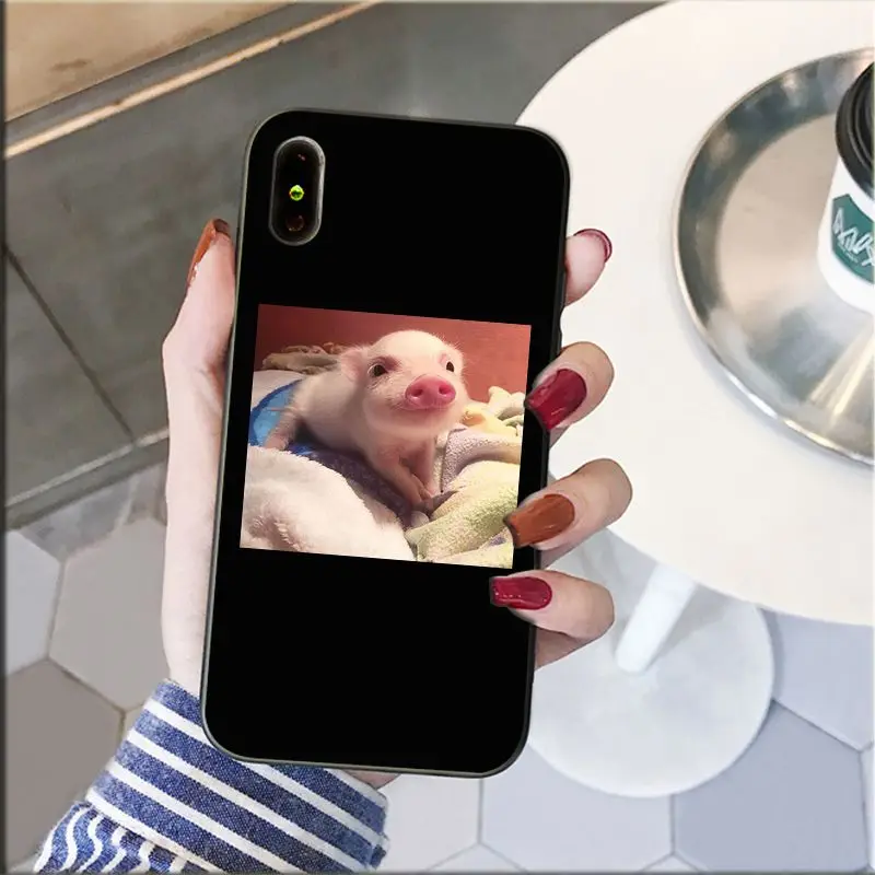 Милый маленький розовый чехол для телефона с изображением животного свиньи