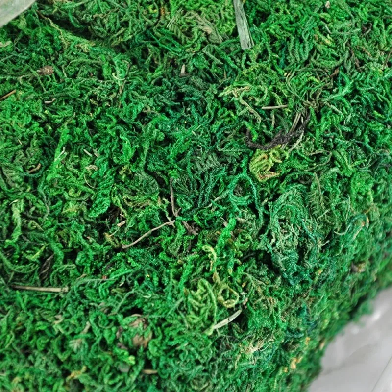 300G/lot Artificial Green moss decorative plants vase artificial turf silk Flower accessories for flowerpot decorations supplies | Дом и сад