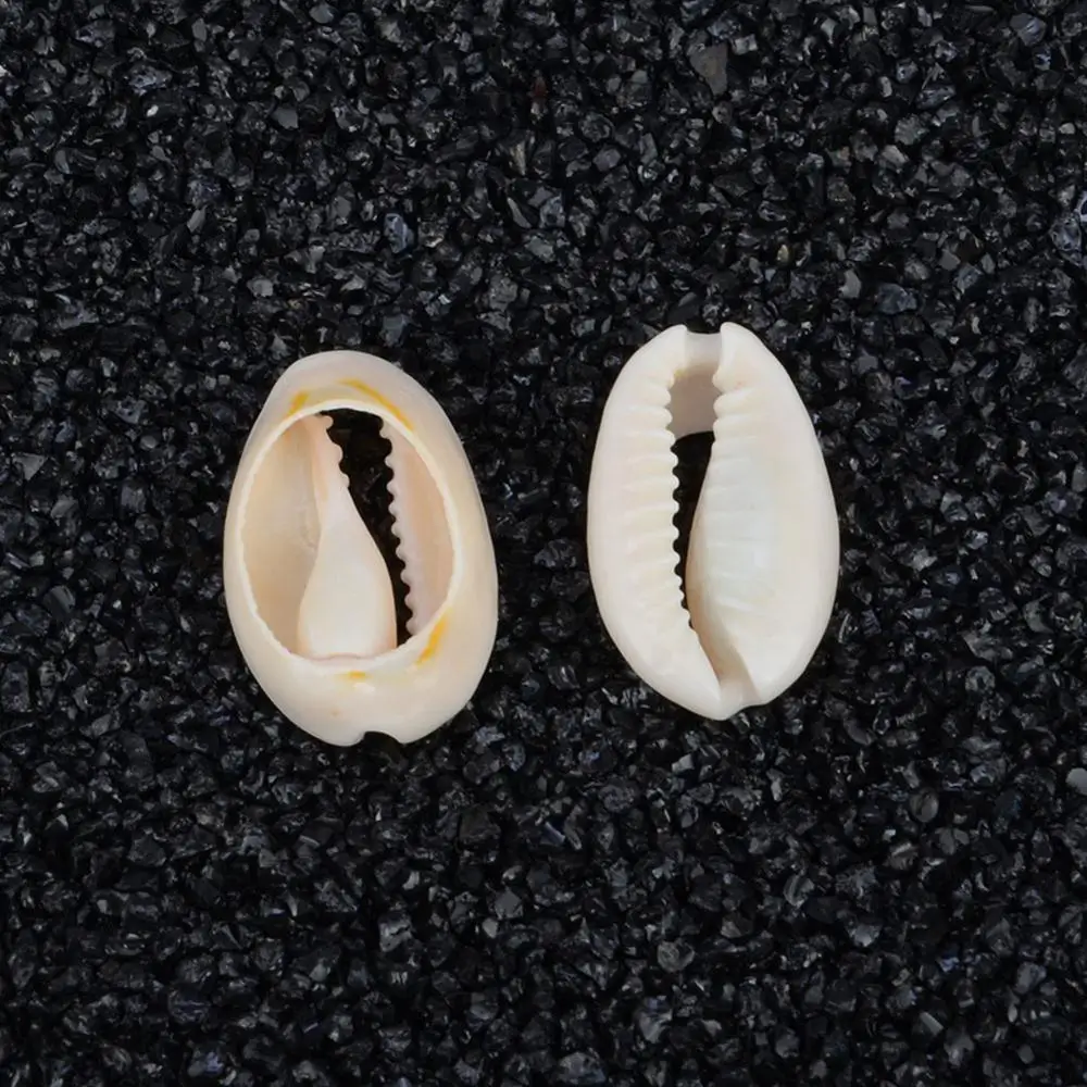 50 шт. Natural Sea Shell Loose Beads для домашнего украшения самодельного изготовления
