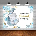 Avezano фоны для фотосъемки детский душ слон цветы сладкий маленький арахис фоны для фотостудии фотосессия фотозона