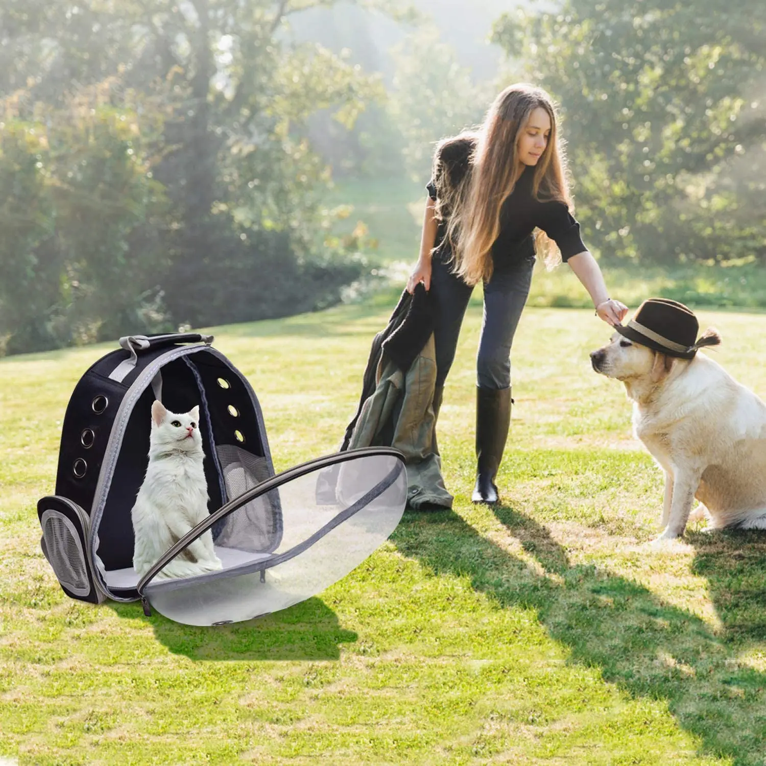 

Cat Carrier Bubble Bag Breathable Transparent Puppy Cat Backpack Travel Space Capsule Cage Pet Transport Bag Carrying For Cat
