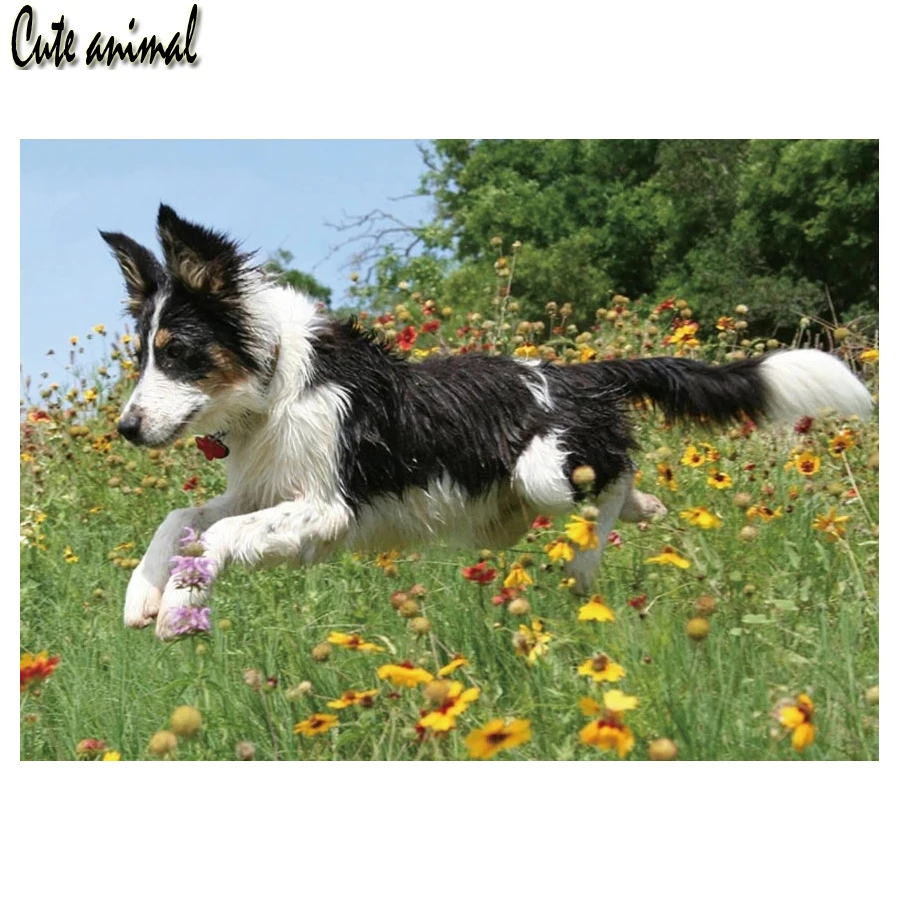 

Полностью квадратная Алмазная краска, алмазная вышивка собаки, милая животное 5d, diy Алмазная мозаика, алмазная краска, настенная живопись