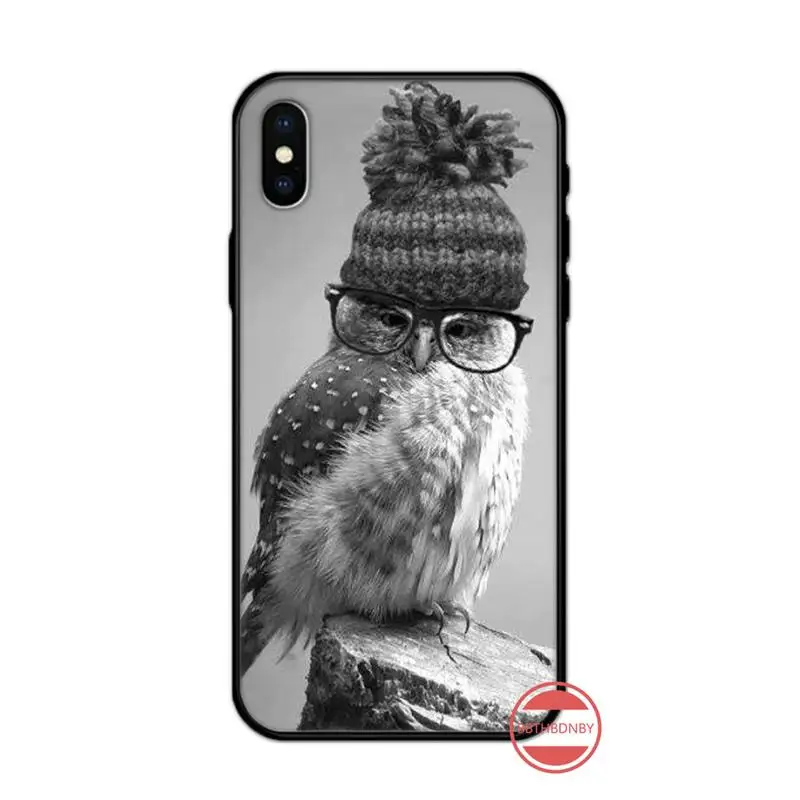 

Night Owl cute animal high quality luxury Phone Case shell for iPhone 11 12 pro XS MAX 8 7 6 6S Plus X 5S SE 2020 XR