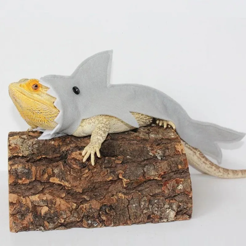 

Lizard Shark Suit Little Halloween Blanket Lizard Costume Little Pet's Costume Coat