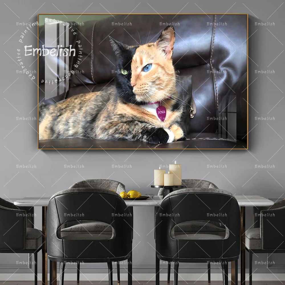 

Cool Animals Cat With Black Face Modern Home Decor Pictures For Living Room Wall Art Posters HD Spray On Canvas Painting Artwork