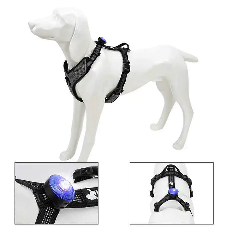 

Truelove Pet Dog Led Light Lamp Tag Led Dog Collar Light Pendant Glow Night Safety Led Dogs Flashlight For Collar Harness Leash