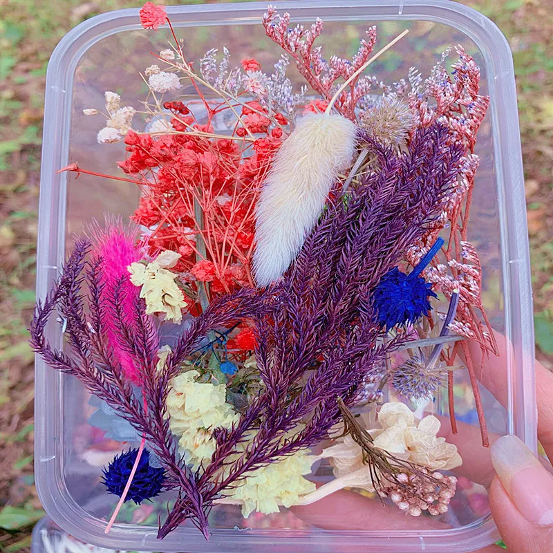 1 шт. Набор для творчества | Дом и сад