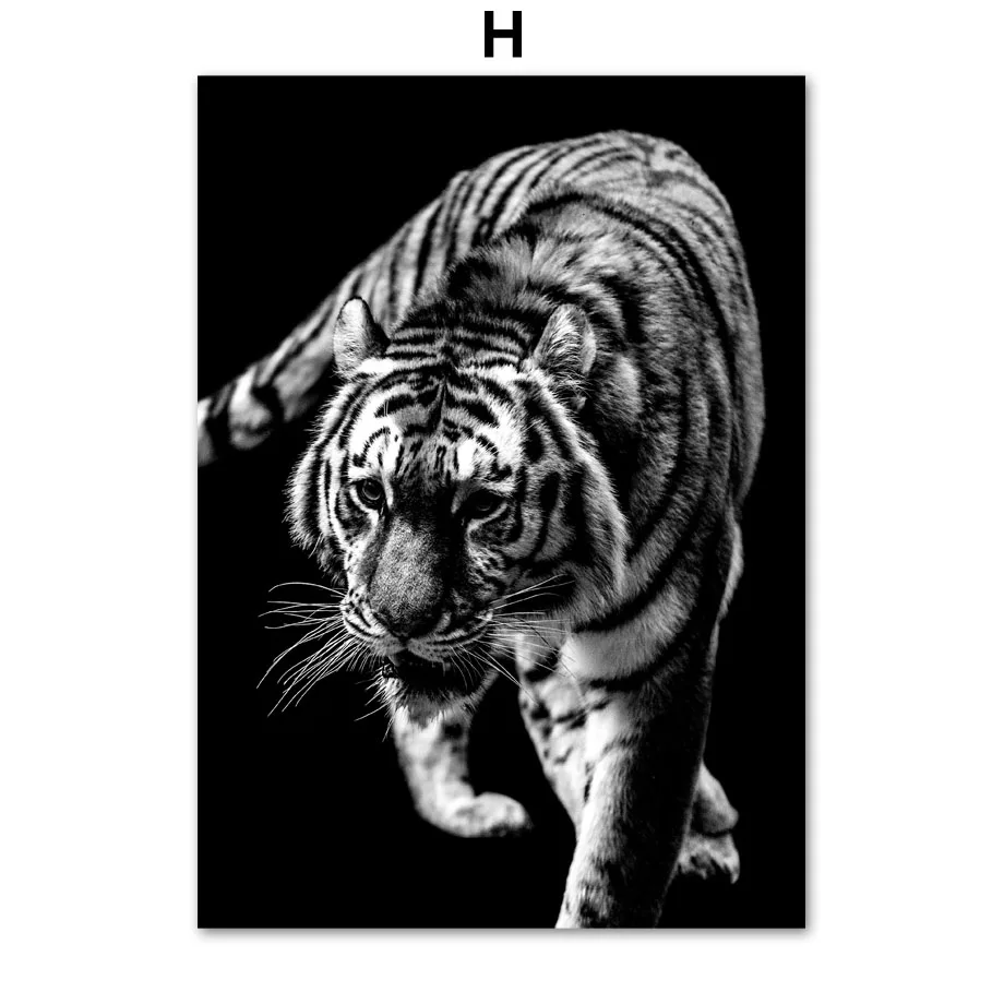 H Черно-белый слон, обезьяна, тигр, жираф, настенная живопись на холсте, скандинавские плакаты и принты, настенные картины для декора гостиной - Цвет: H