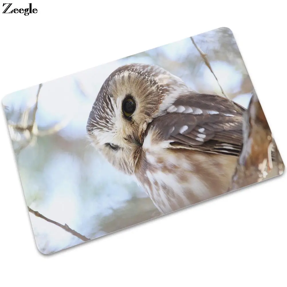 

Нескользящий Резиновый напольный коврик с принтом совы, износостойкий и грязеотталкивающий коврик для ванной, напольный коврик, абсорбиру...