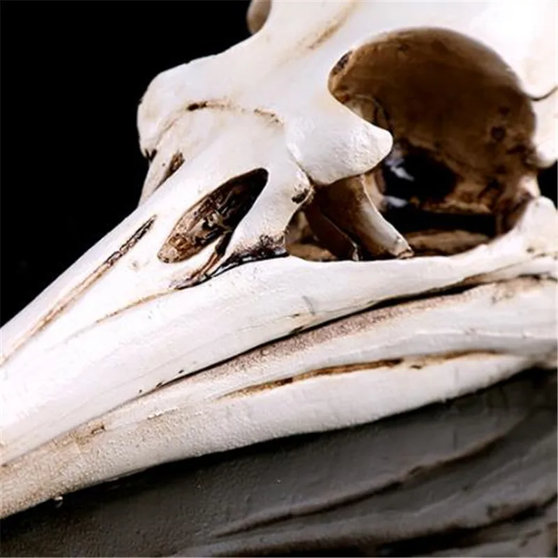 

Home Decor Bird Skull head 3D Resin Animal Art Statue Model Room Saloon Desk Europe & America Sculpture Decoration Gifts