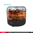 Сушилка для продуктов Scarlett SC-FD421010