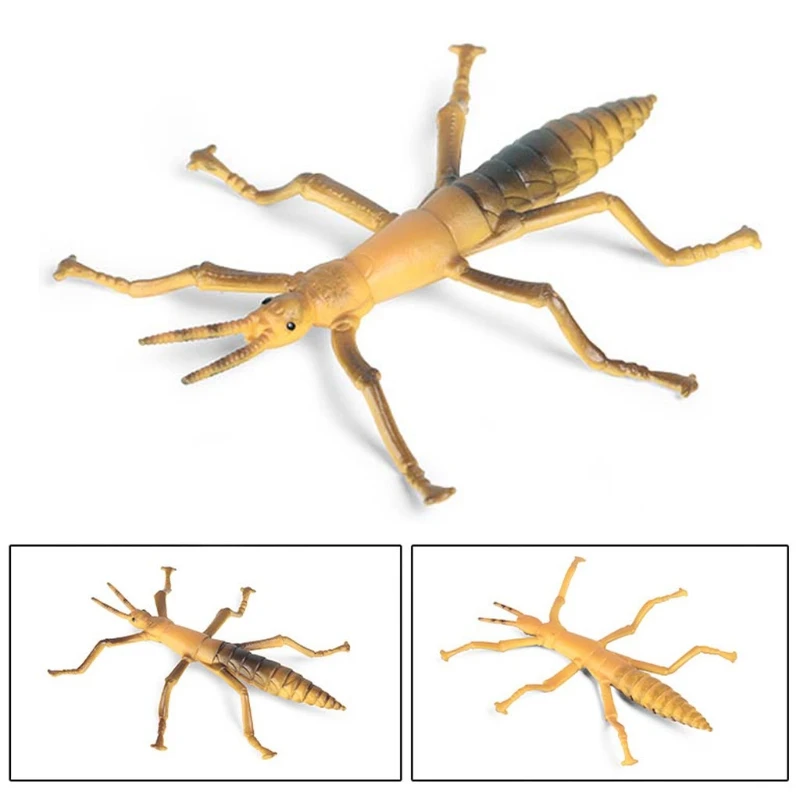 

Simulation Solid Static Animal Model Ornaments Realistic Locust/Stick Insect Children Educational Prop Scene Decoration Toy