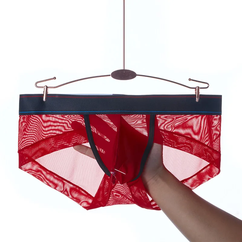 

Sexy Men Underwear See Through Panties Elephant nose Men Briefs Mesh Transparent Underpants Ice Silky Cuecas Male Brief Bikini