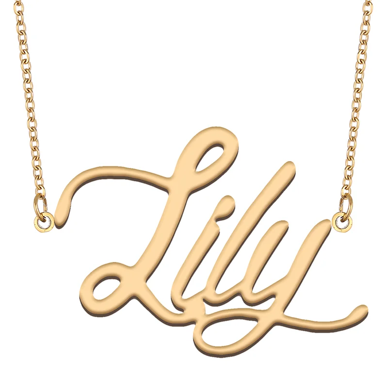 

Necklace with Name Lily for His Her Family Member Best Friend Birthday Gifts on Christmas Mother Day Valentine's Day